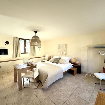 Le Moulin D Olivet Bed & Breakfast Orbigny Exterior photo