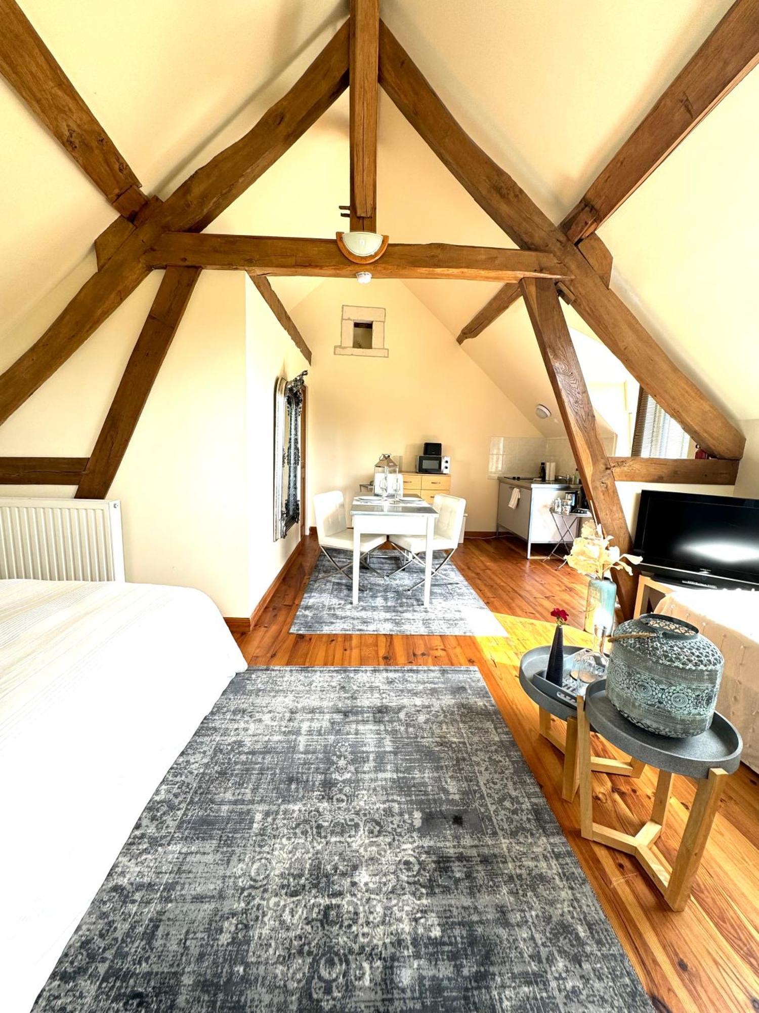 Le Moulin D Olivet Bed & Breakfast Orbigny Exterior photo