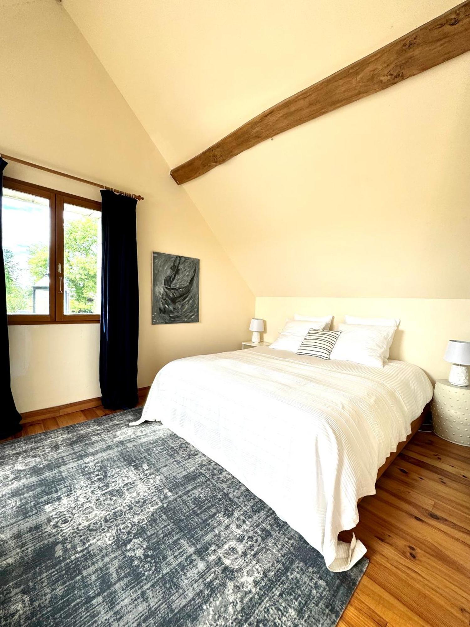 Le Moulin D Olivet Bed & Breakfast Orbigny Exterior photo