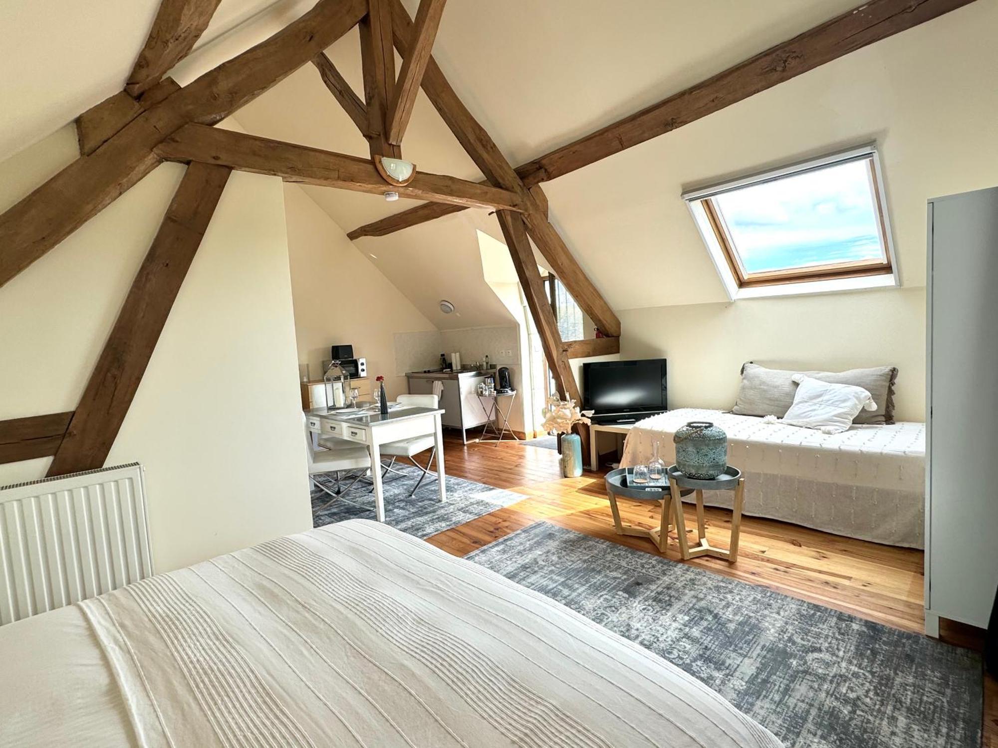 Le Moulin D Olivet Bed & Breakfast Orbigny Exterior photo