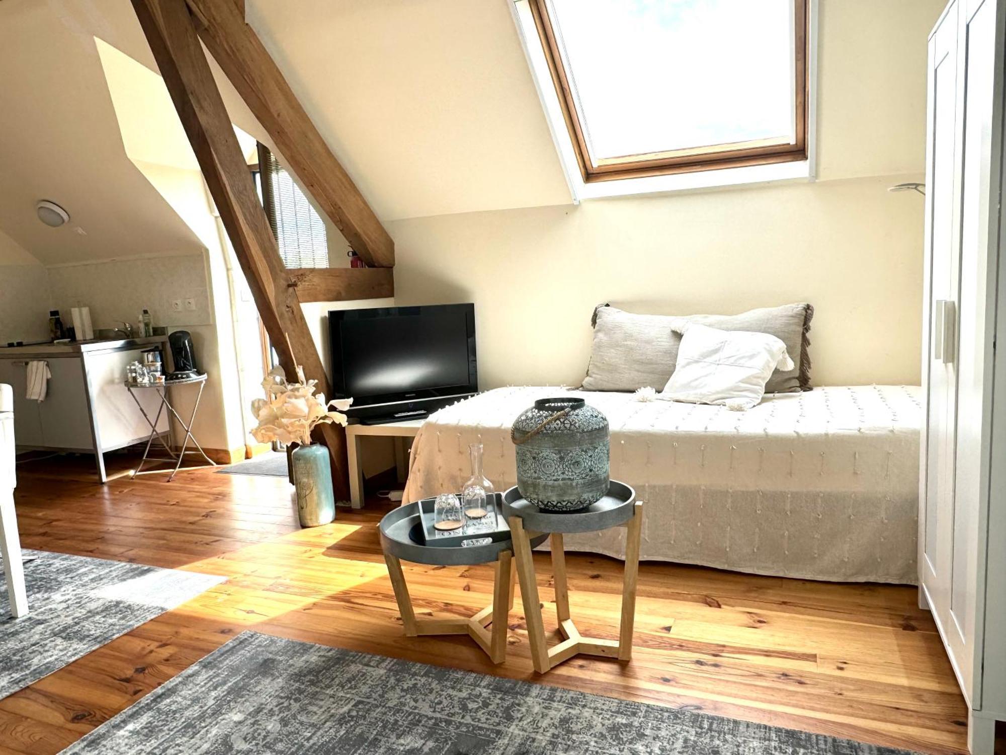 Le Moulin D Olivet Bed & Breakfast Orbigny Exterior photo