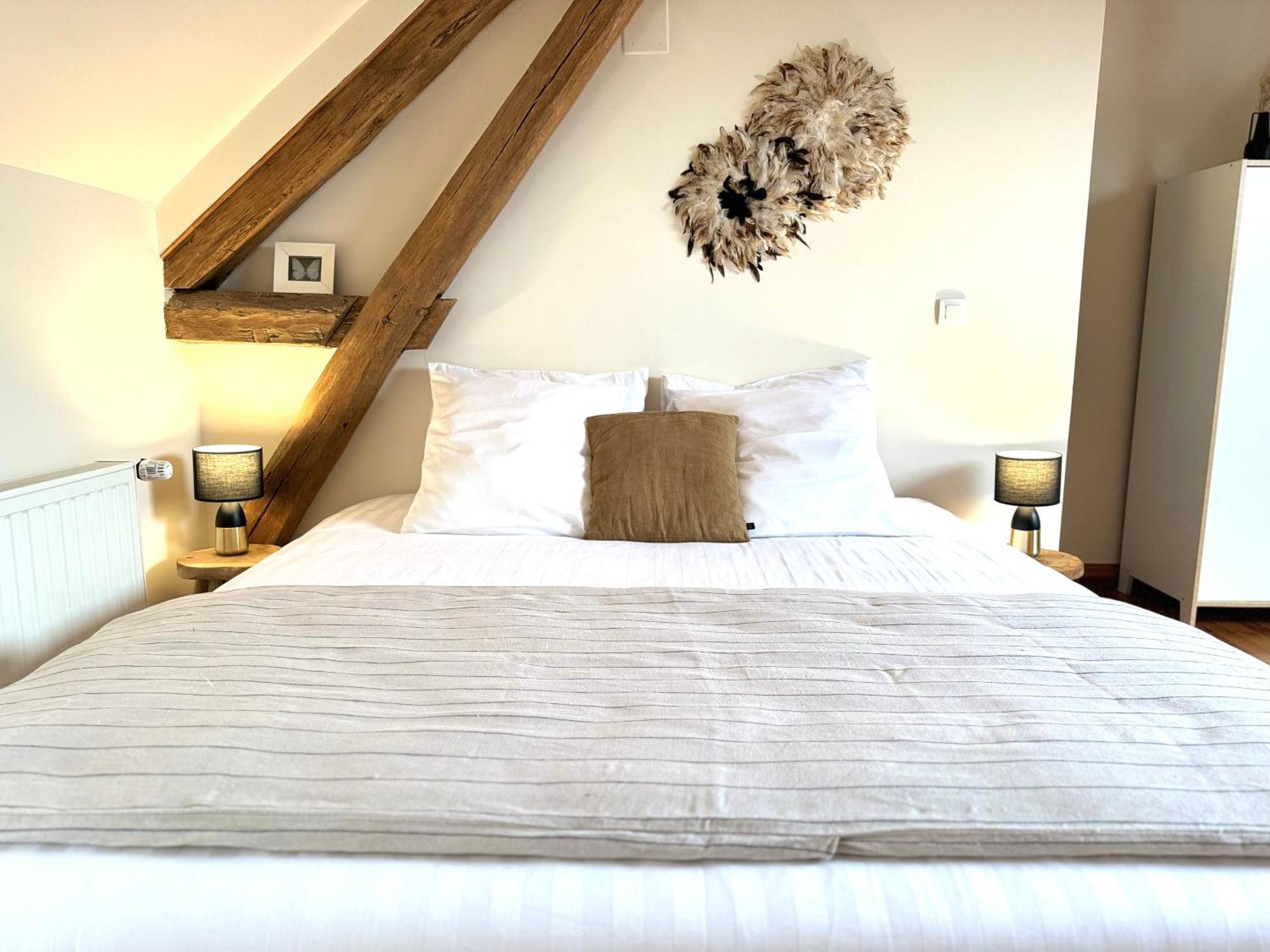 Le Moulin D Olivet Bed & Breakfast Orbigny Exterior photo