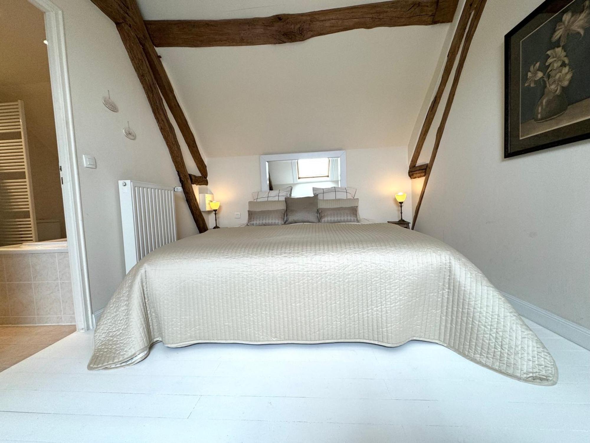 Le Moulin D Olivet Bed & Breakfast Orbigny Exterior photo