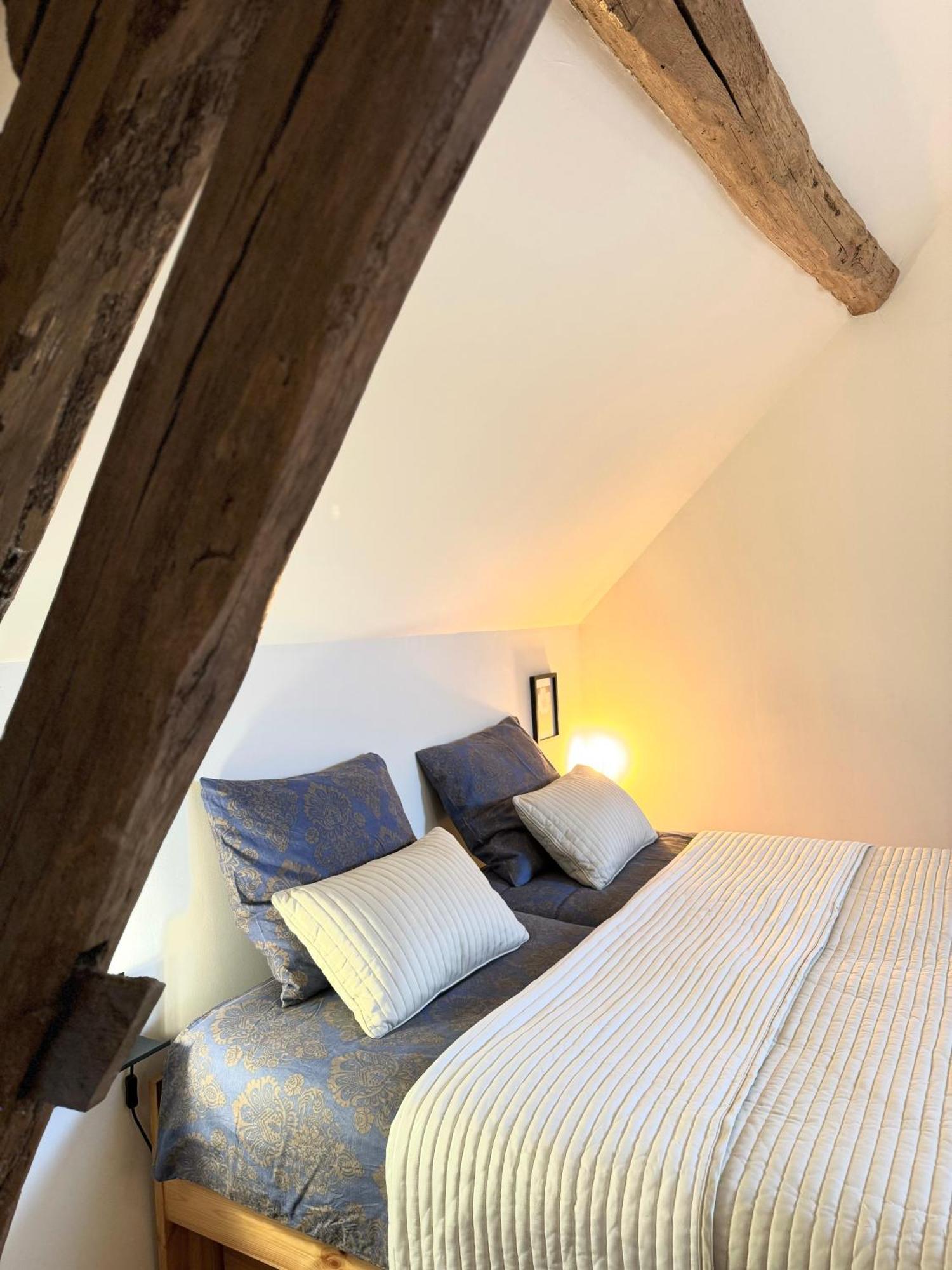 Le Moulin D Olivet Bed & Breakfast Orbigny Exterior photo