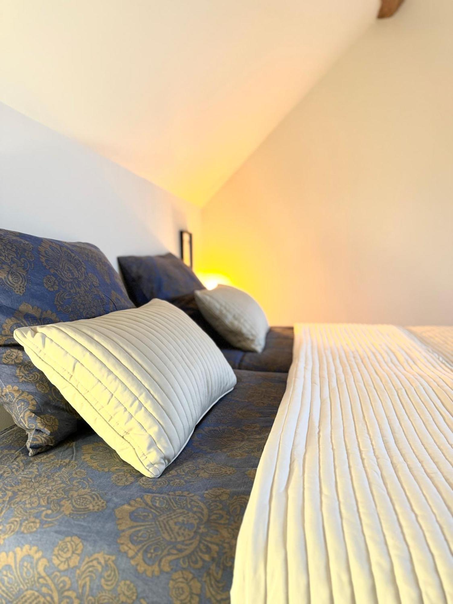 Le Moulin D Olivet Bed & Breakfast Orbigny Exterior photo